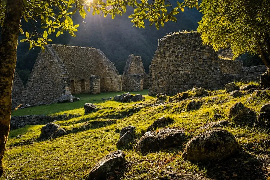 Sunlight through the trees at the Chachabamba ruins