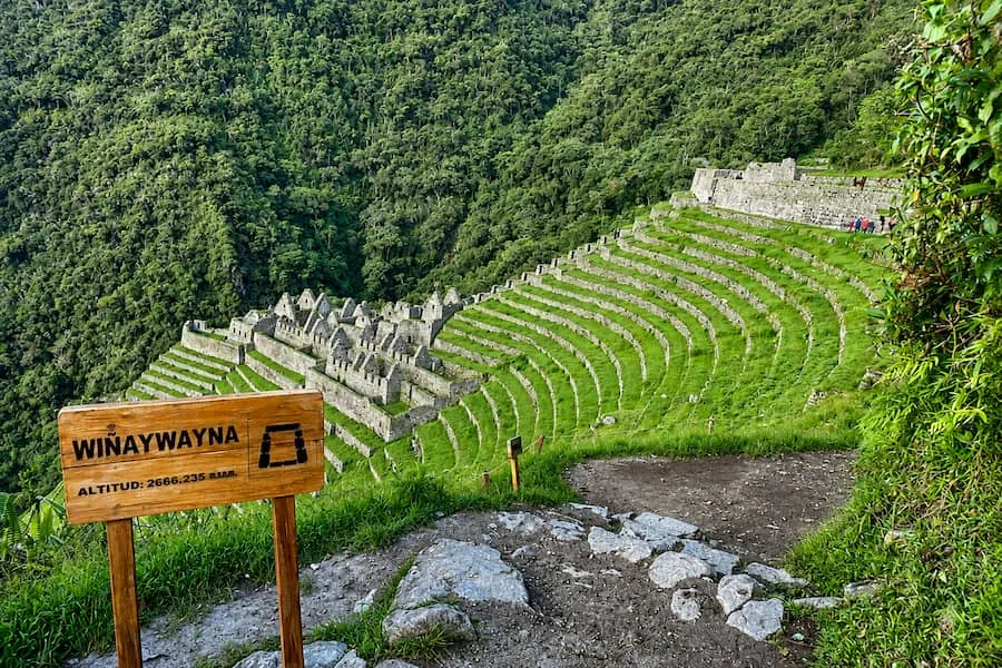 Terraces of Winay Wayna beside the trail
