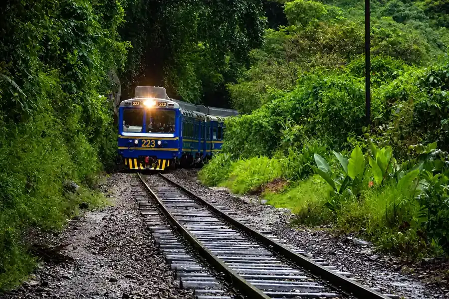 Blue and yellow train with its headlight on in dense cloud forest