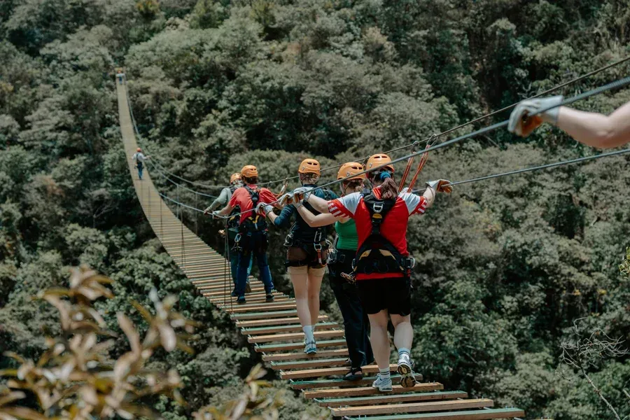 Hikers crossing a hanging bridge in the cloud forest